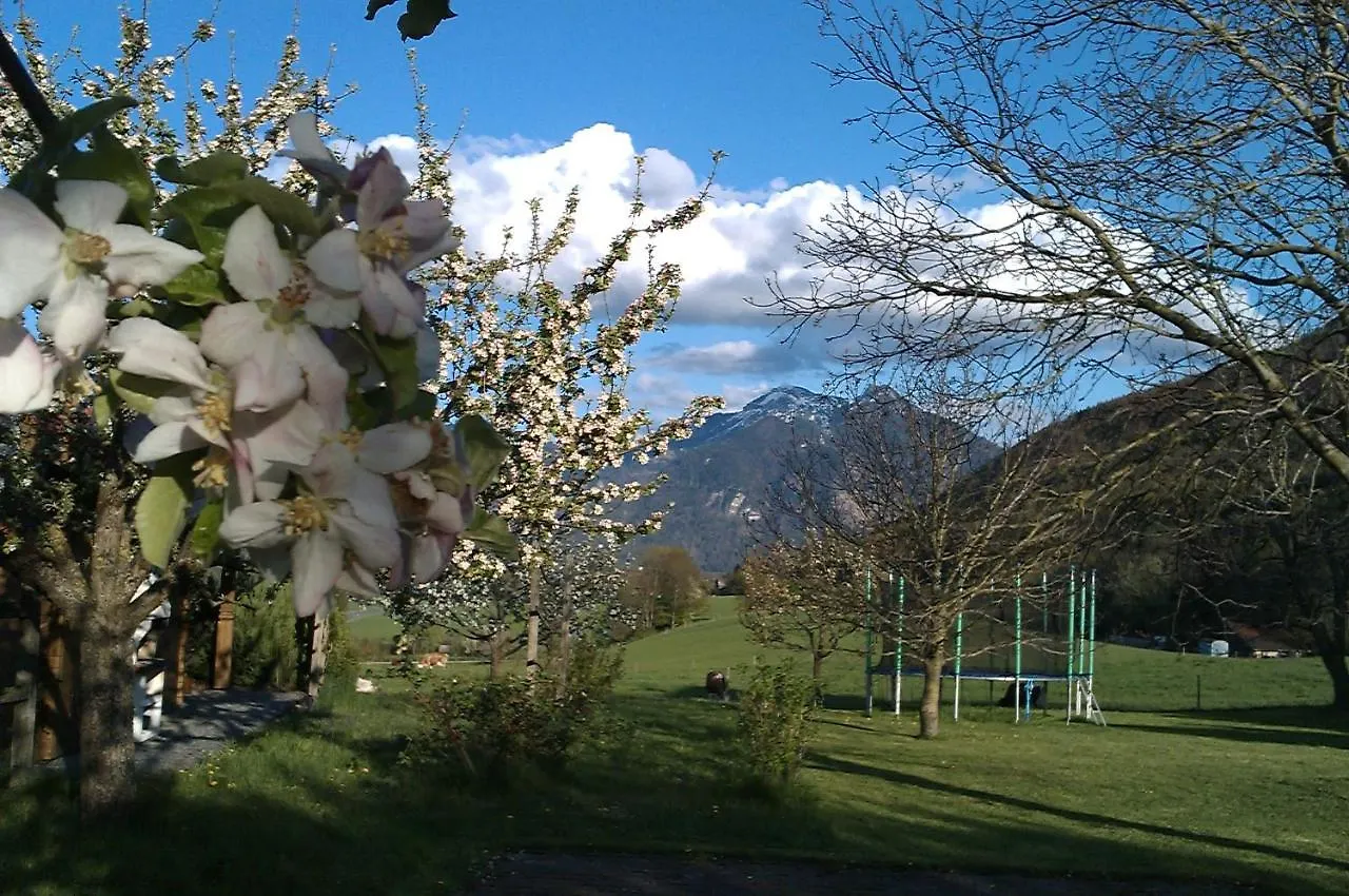 Ferienwohnung Hoderhof Grassau  Apartment