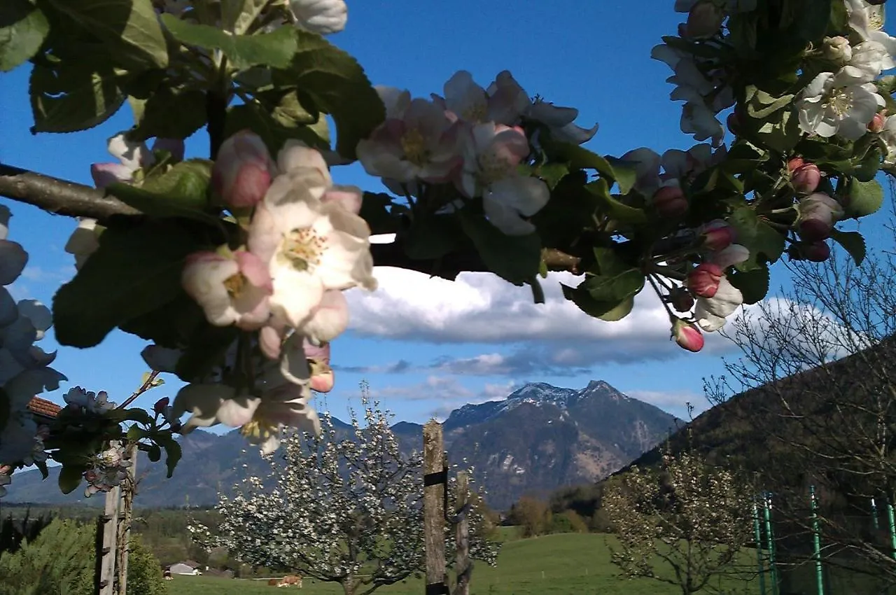 Ferienwohnung Hoderhof Grassau